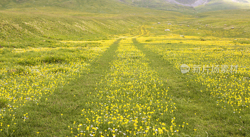 Campo Imperatore乡村公路，意大利Abruzzi